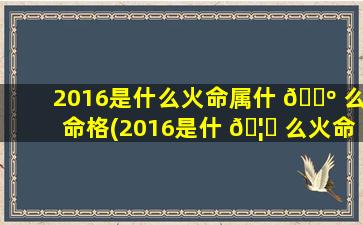 2016是什么火命属什 🐺 么命格(2016是什 🦆 么火命属什么命格的人)